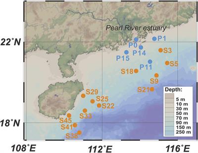 Interactions Between Marine Group II Archaea and Phytoplankton Revealed by Population Correlations in the Northern Coast of South China Sea